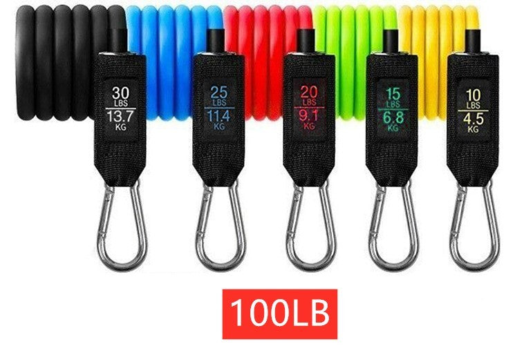 Portable Resistance Training Set