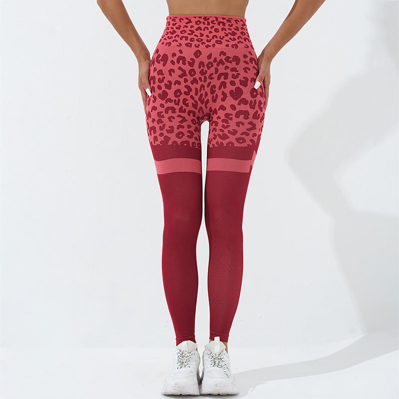 Leopard Print Fitness Pants for Women