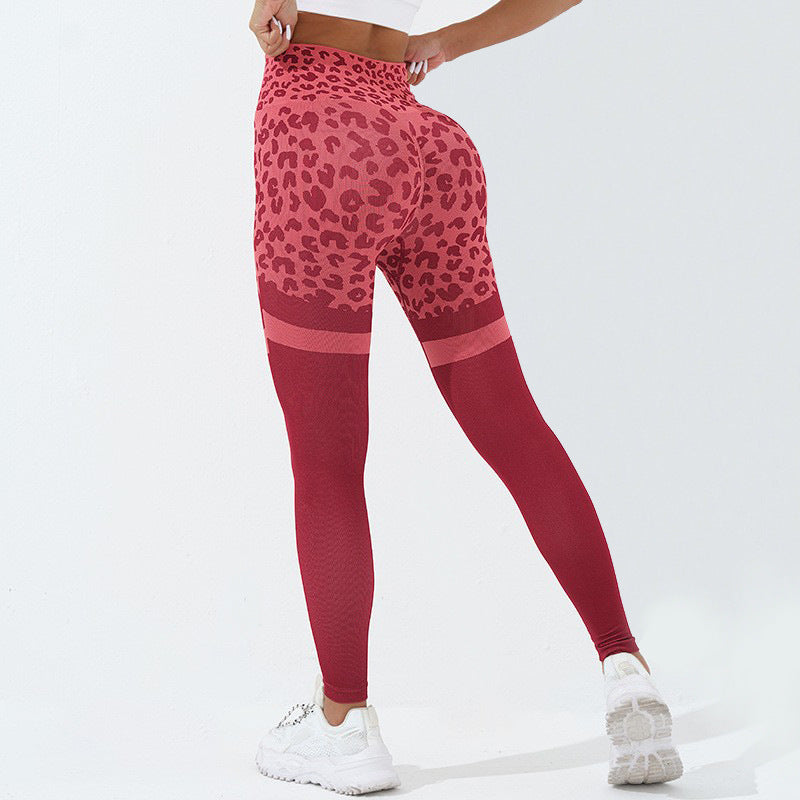 Leopard Print Fitness Pants for Women